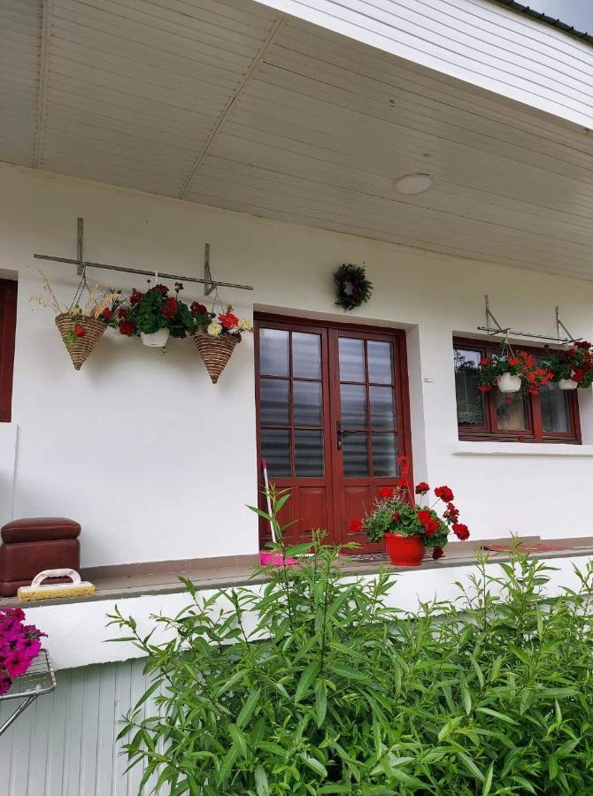Casa Rodica Vatra Dornei Exterior foto