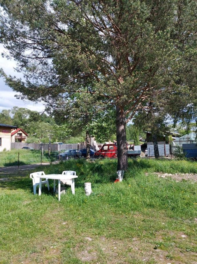 Casa Rodica Vatra Dornei Exterior foto