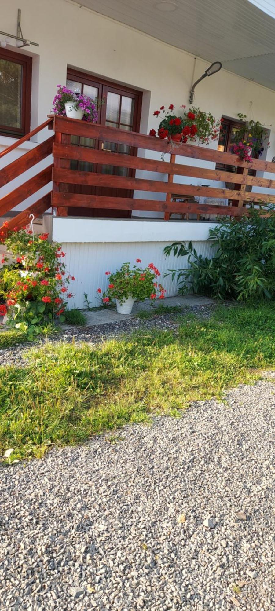 Casa Rodica Vatra Dornei Exterior foto